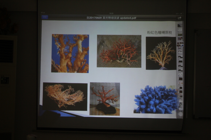 珊瑚课件 (9).jpg