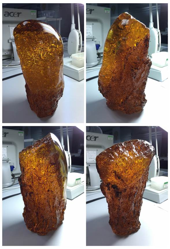 这“琥珀”原来是塑料(1)125.png